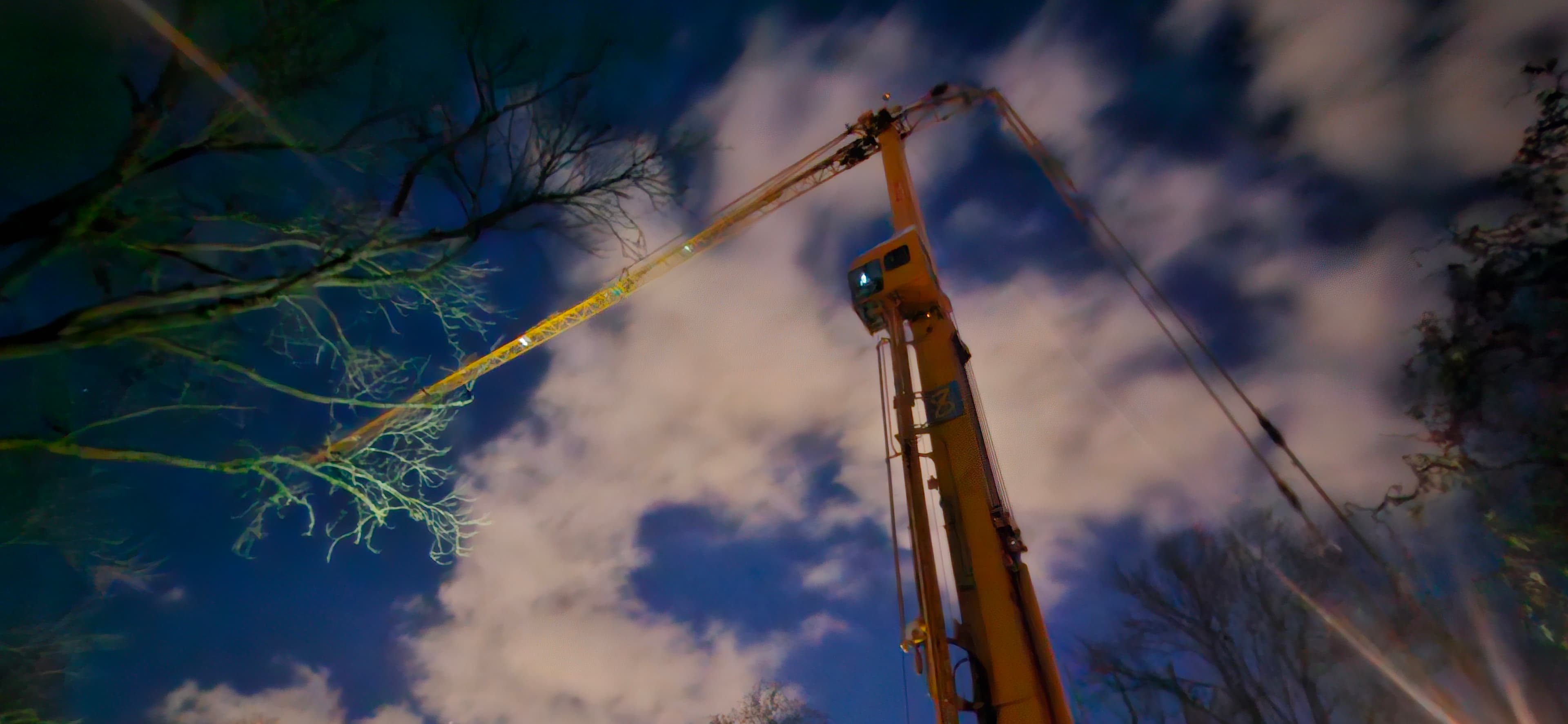 Achtertuin Rotterdam - Extra afbeelding 5